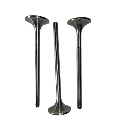 Engine Intake and Exhaust Valves